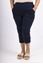 Picture of CURVY GIRL STRETCH SMART THREE QUARTER TROUSER CROPS